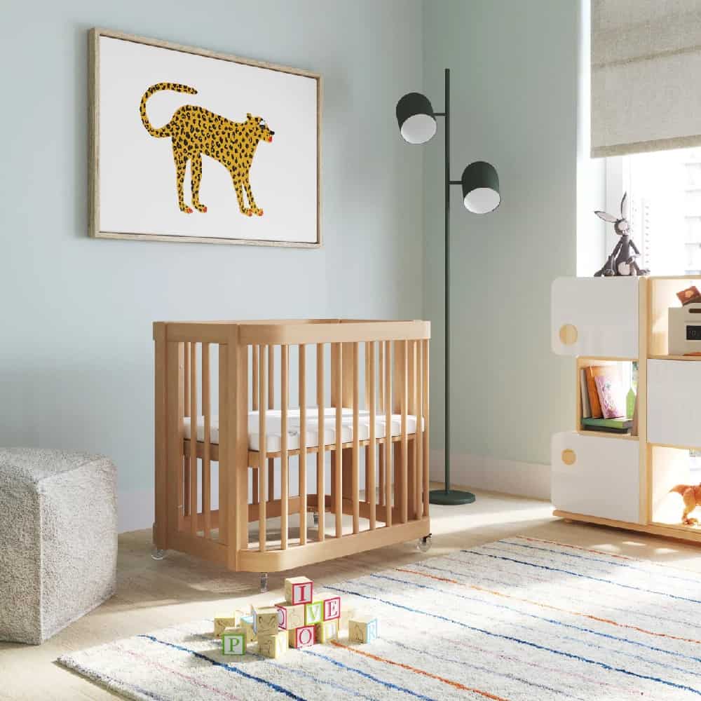 Baby Crib into Bassinet