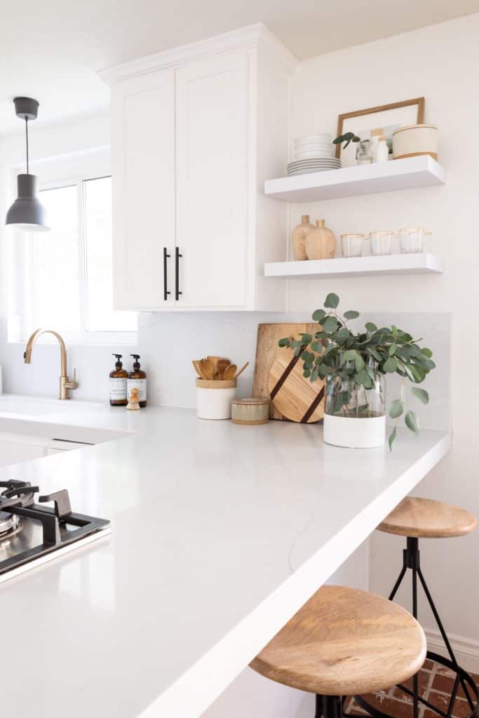 Black and White kitchen with potted plants