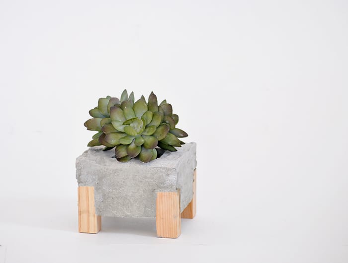 DIY Concrete Succulent Planter