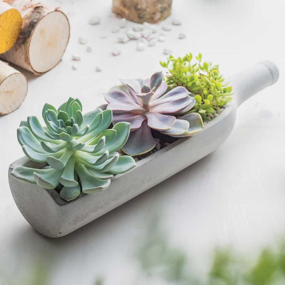 DIY Concrete Wine Bottle Planter