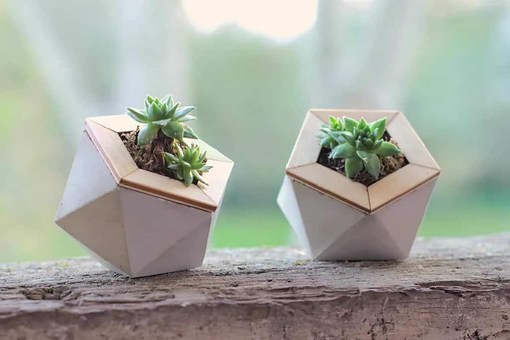DIY Geometric Concrete Planters