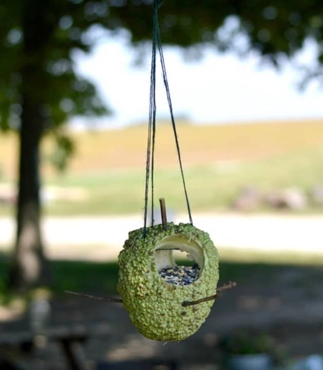DIY Hummingbird Feeder from Gourds