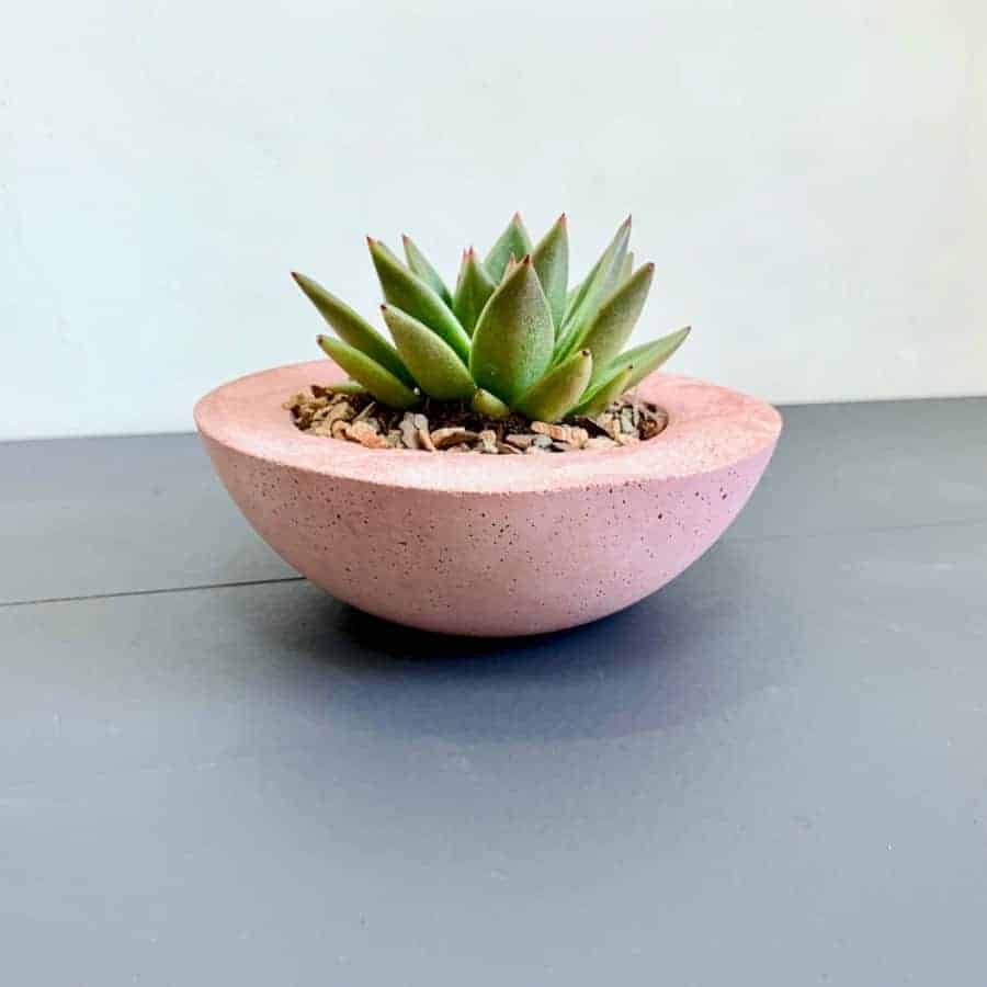 DIY Painted Concrete Plant Pots