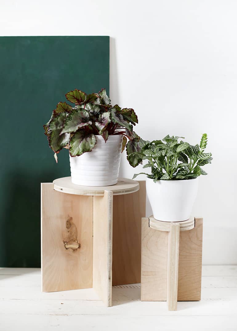 A Simple Plant Stand Made Out of a Few Wooden Plant