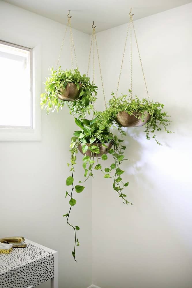 Hang Potted Plants from the Ceiling