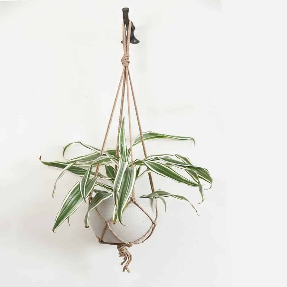Hanging Concrete Plant Pots On Rope