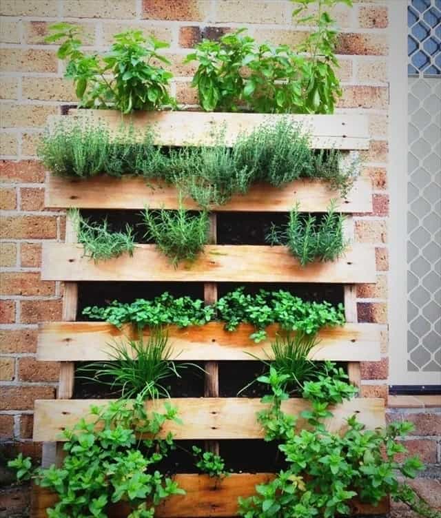 Hanging Fresh Herb Garden Planter using Wooden Pallets