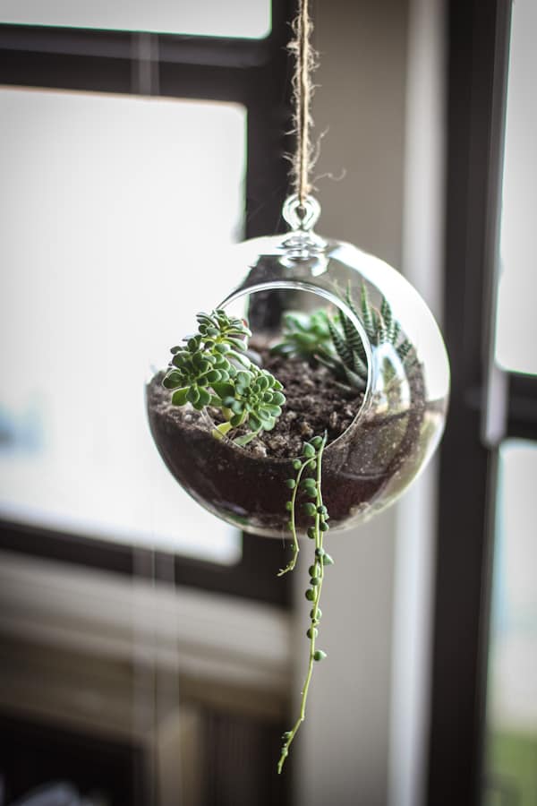 Hanging Glass Globe Terrariums for Planters