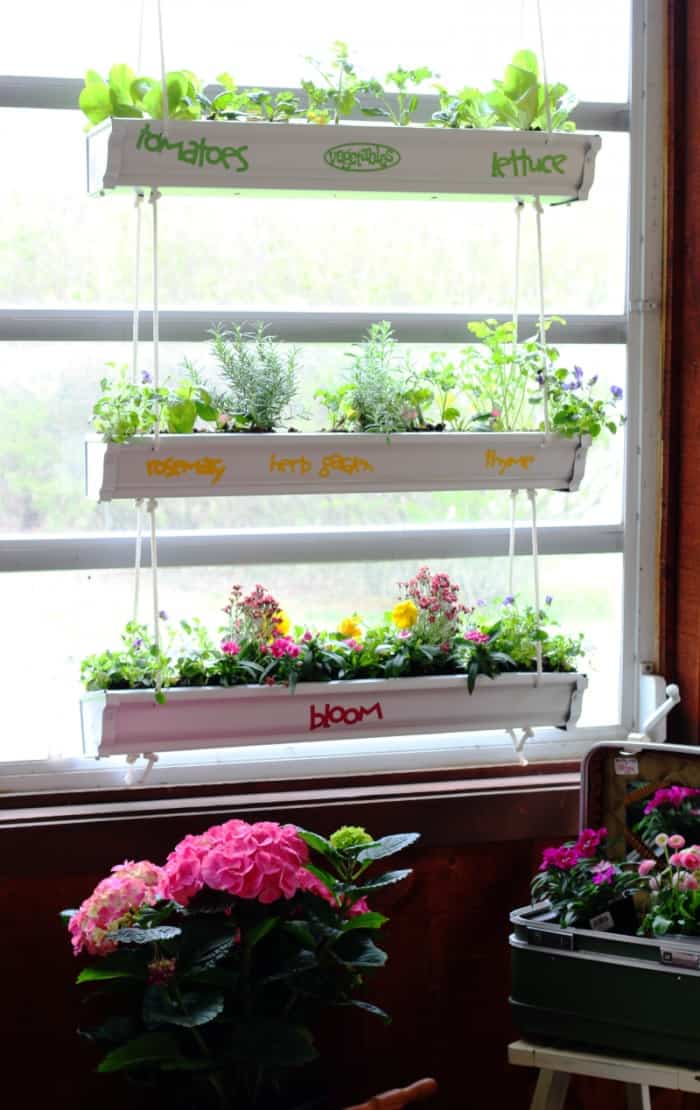 Hanging Gutter Planters from the Ceiling
