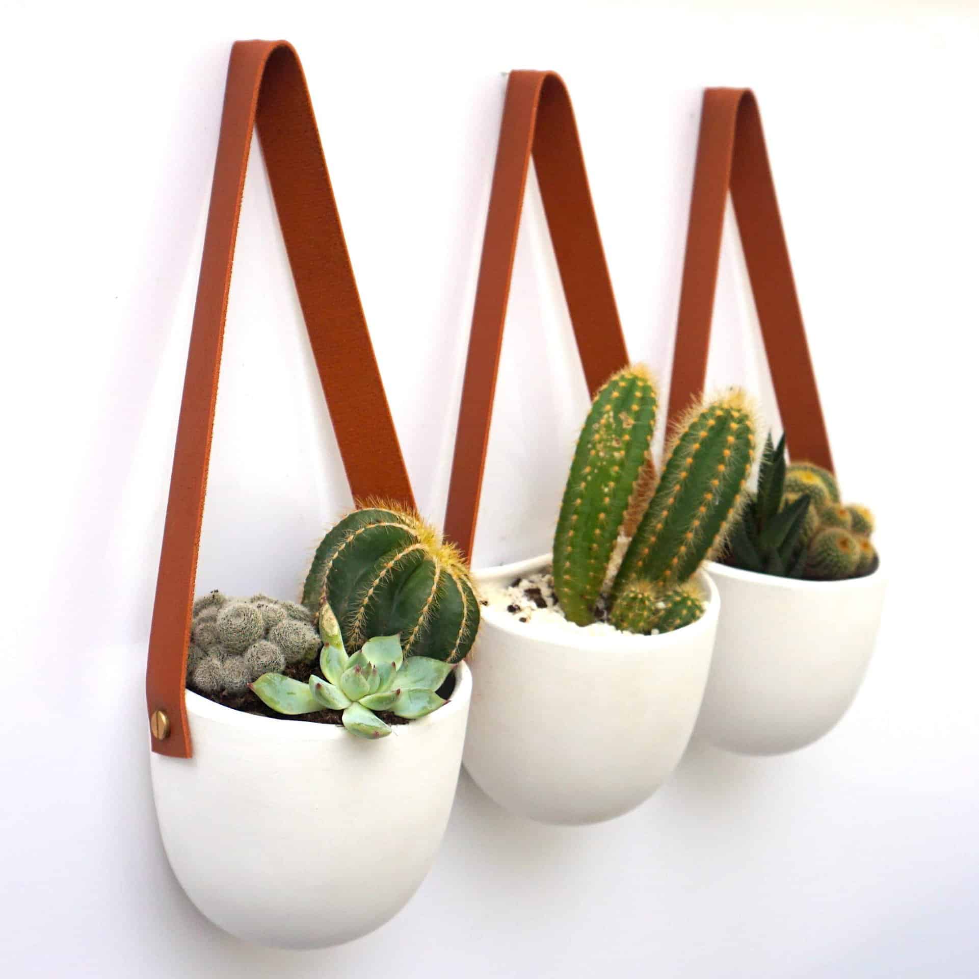 Hanging Planter with Faux Leather