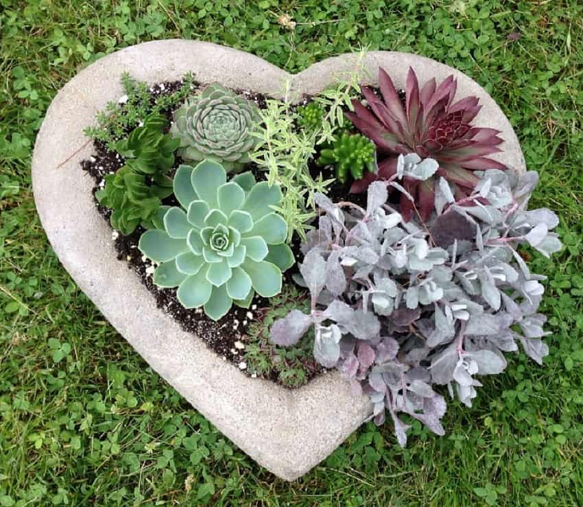 Love-Shaped Succulent Planter