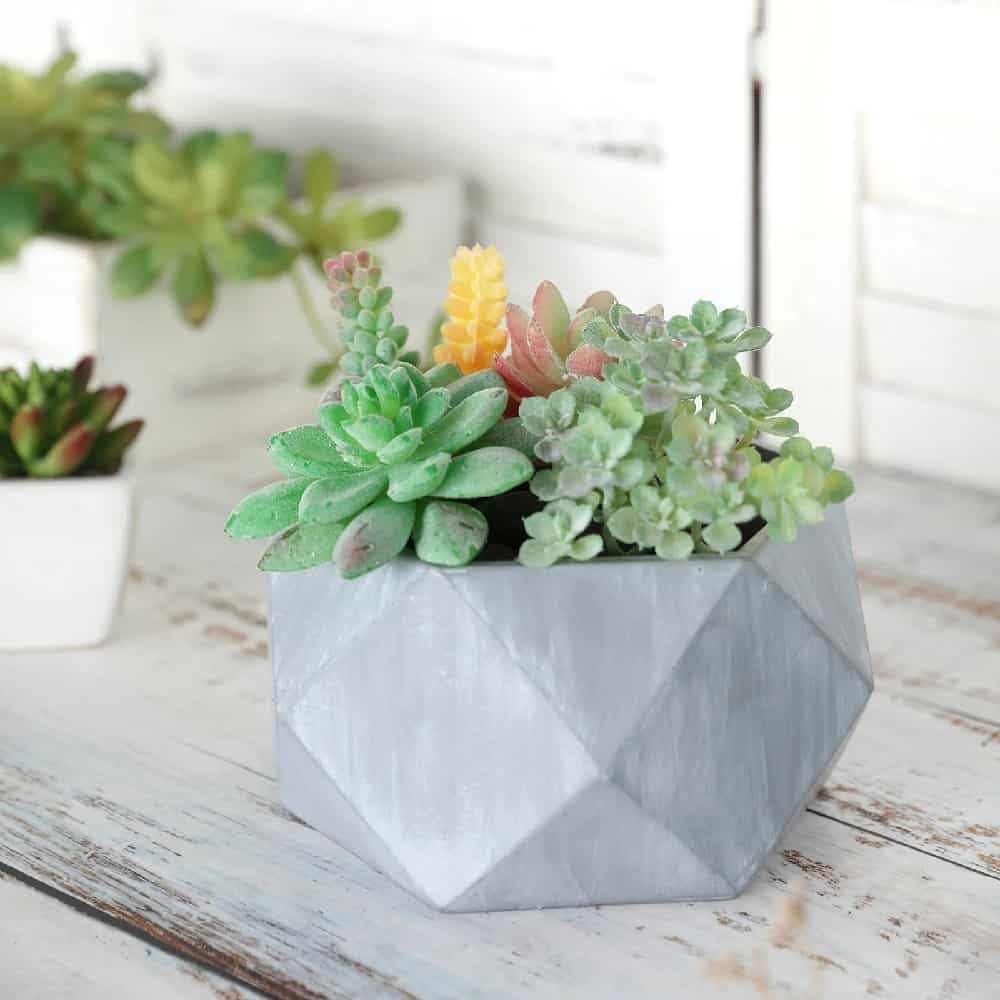 Miniature Geometric Cement Planters