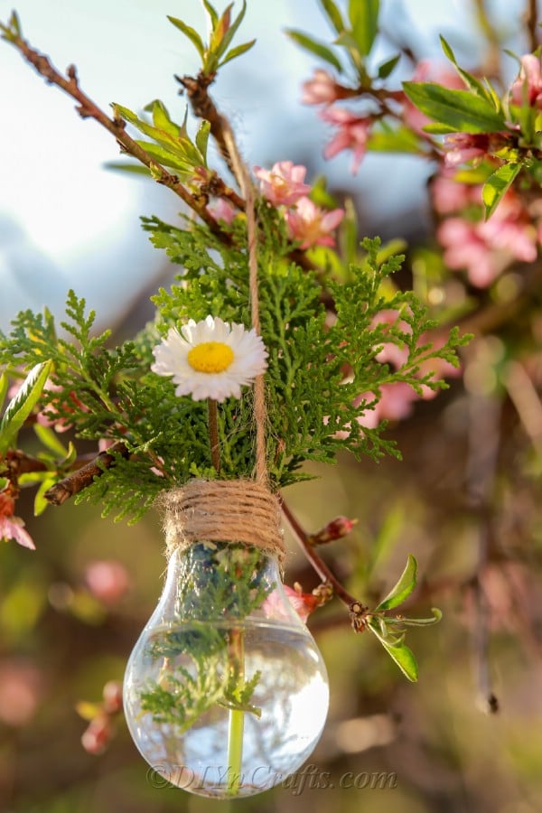Old Light bulb Hanging Planter