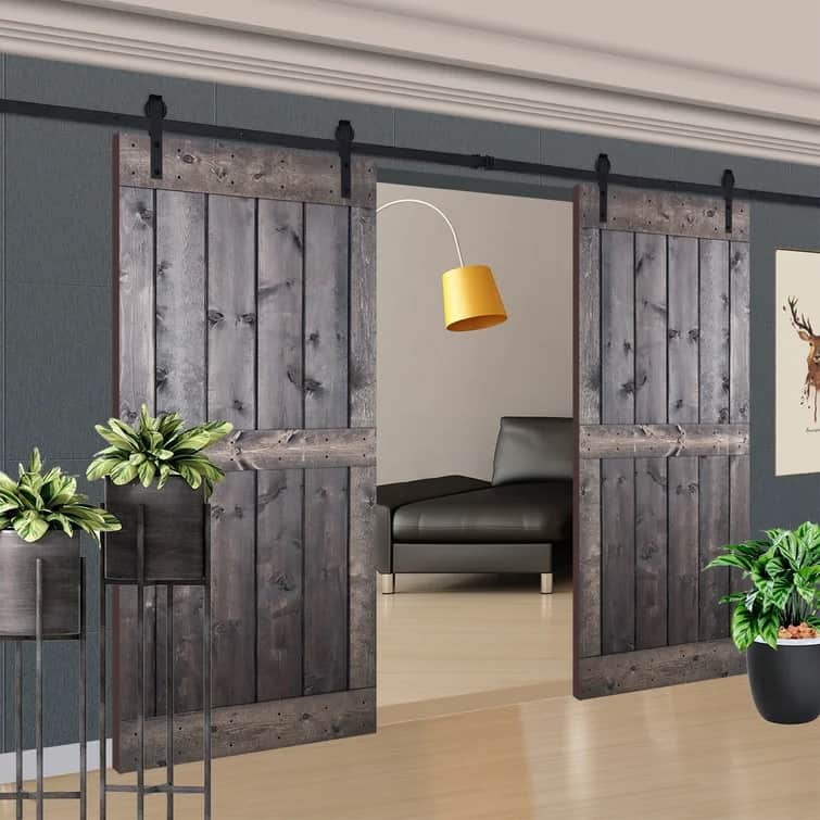 Painted Barn Door