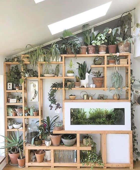 Place Your Plants on the Shelves