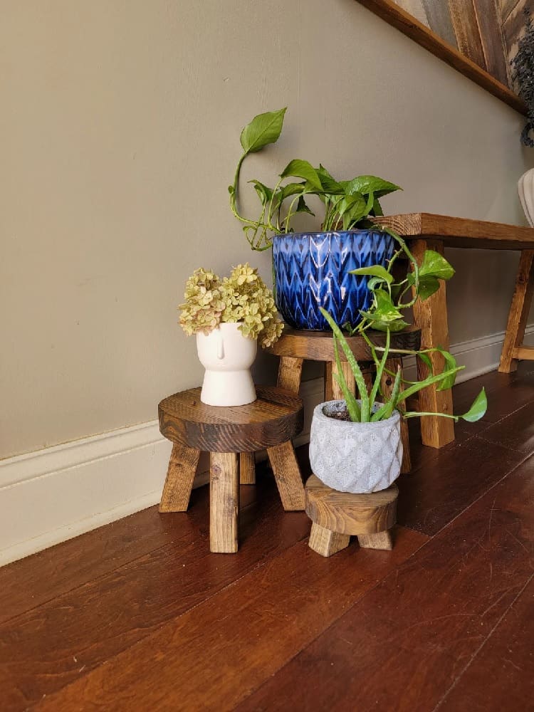Small Plant Stand