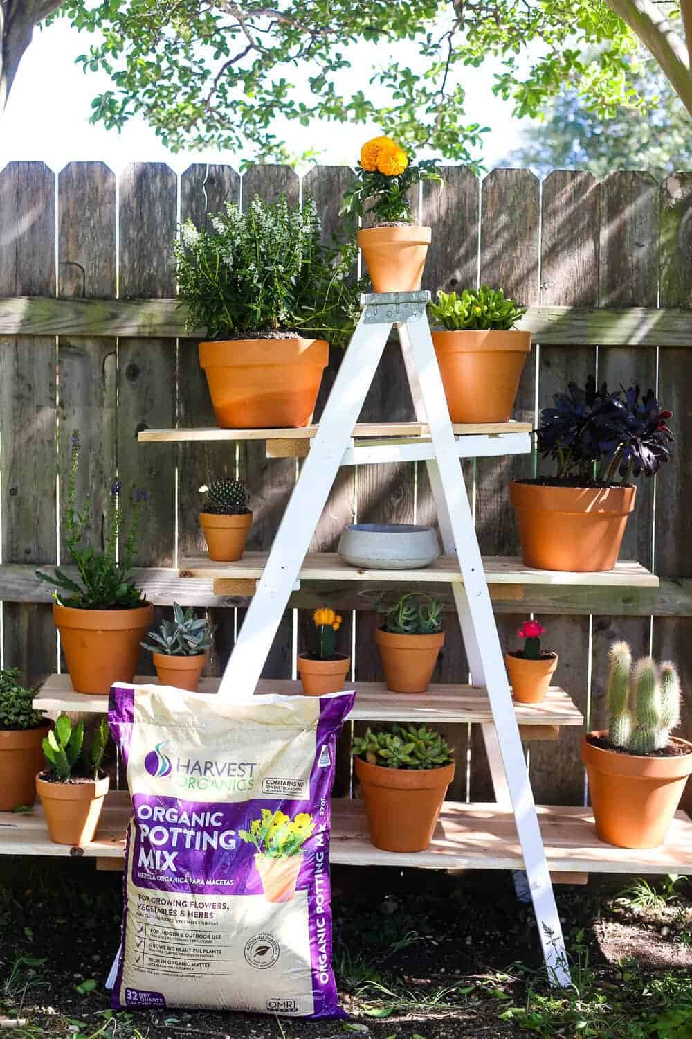 Tiered Plant Stand