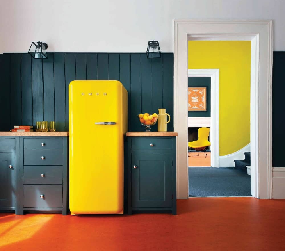 Yellow lemon Kitchen Appliance