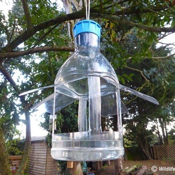 A Plastic Bottle Diy Squirrel Baffle Ideas