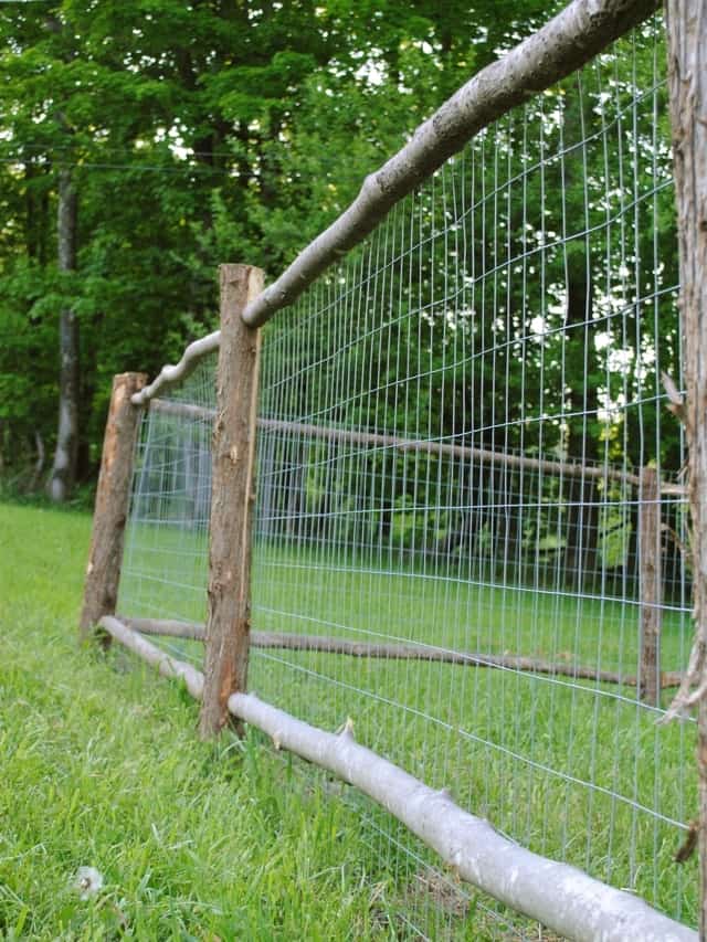 A Wire Fence Around Your Entire Yard