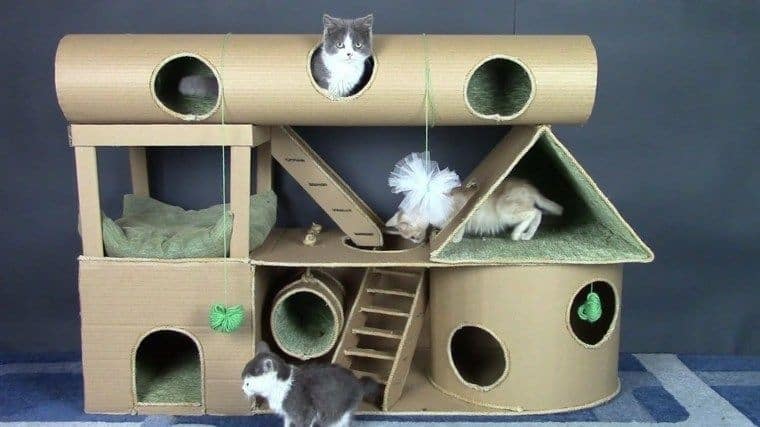 Accessories For Your Diy Cat House