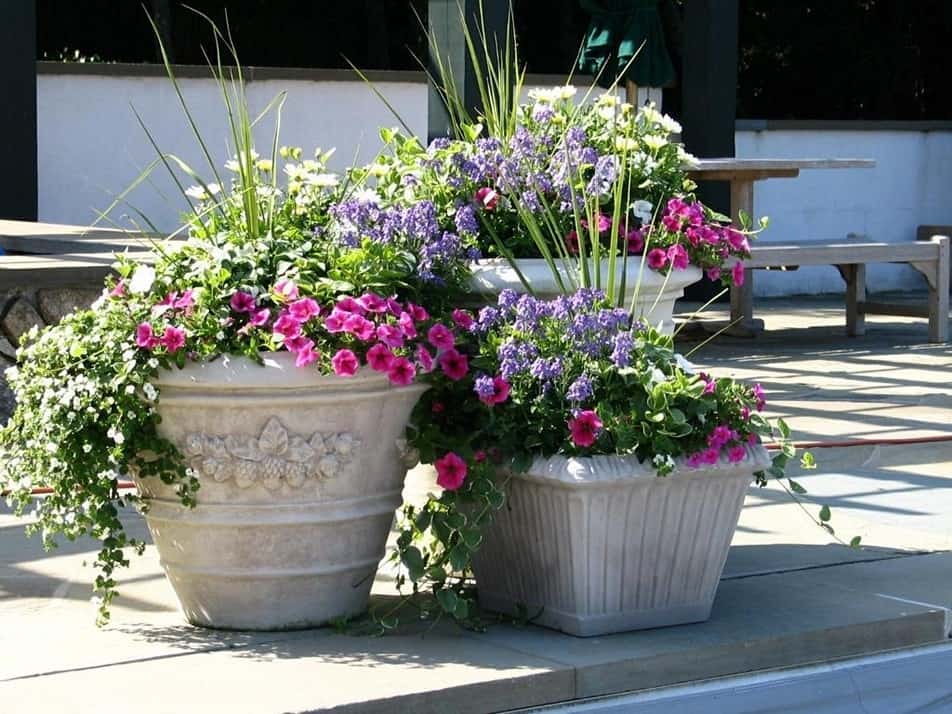 Antique Front Door Flower Pots