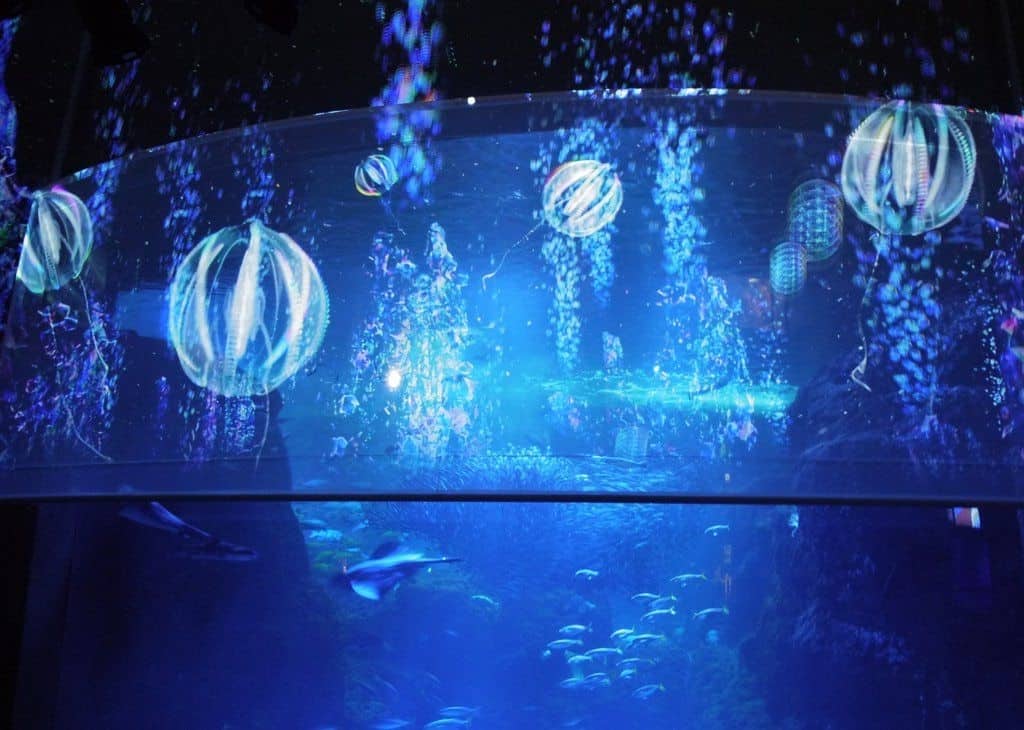 Aquarium Projector