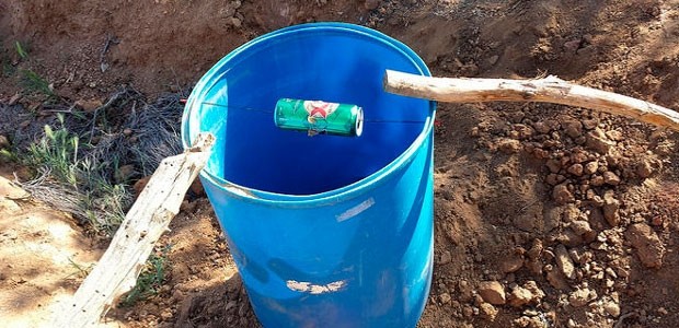 Bucket Squirrel Removal
