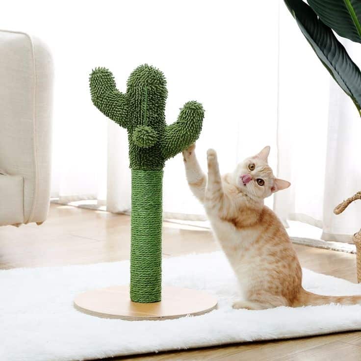 Cactus Diy Cat Scratching Post