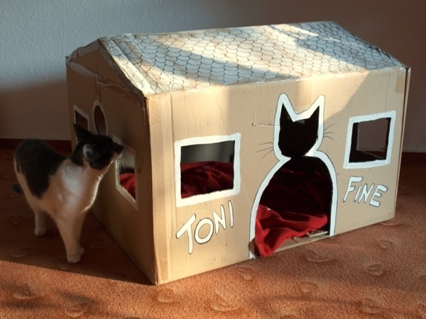 Cardboard Box Diy Cat Hammock