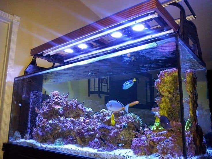 7 Fun Diy Aquarium Lid Projects For Your Home - Diy Led Light For Marine Aquarium