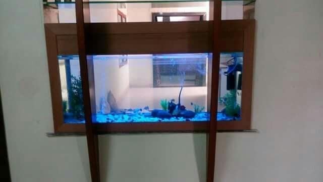 Diy Aquarium Stand Attached To Wall