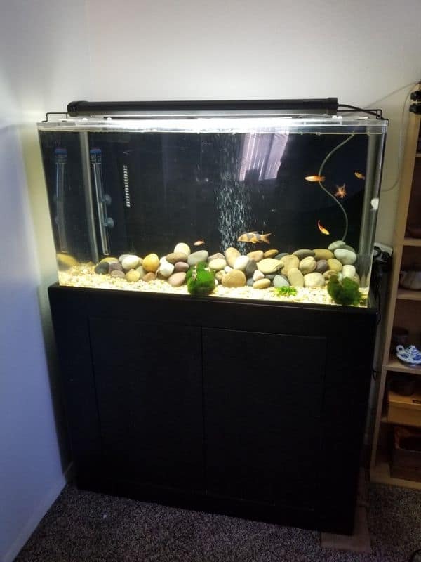 Diy Aquarium Stand Built-In Filter Pump Holder