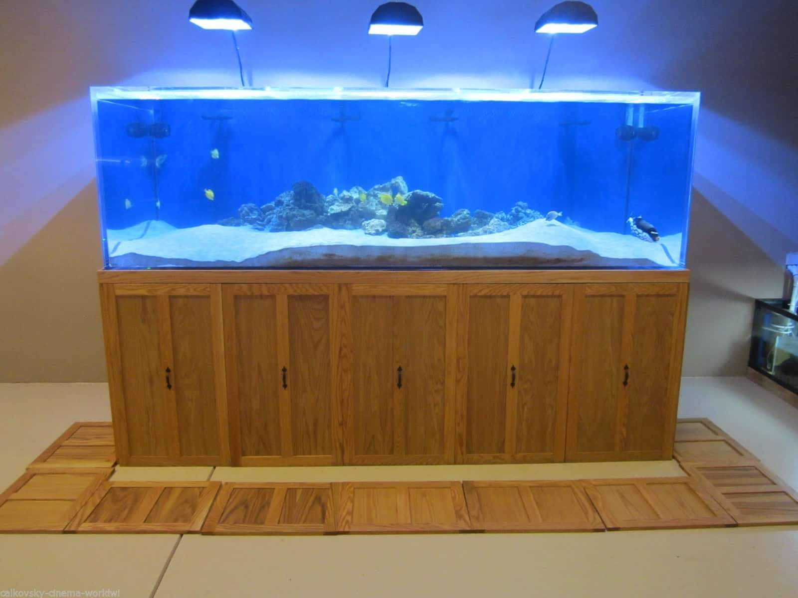 Diy Aquarium Stand With Storage Boxes