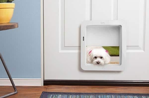 Diy Automatic Dog Door Projects