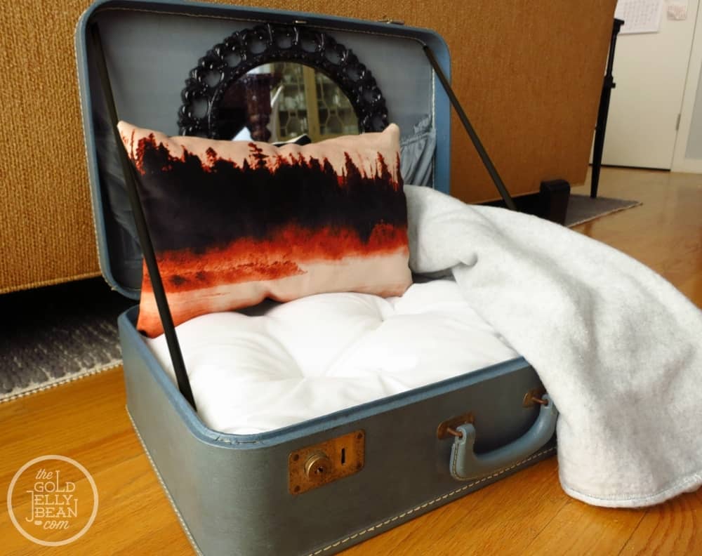 Diy Cat Bed Of A Suitcase
