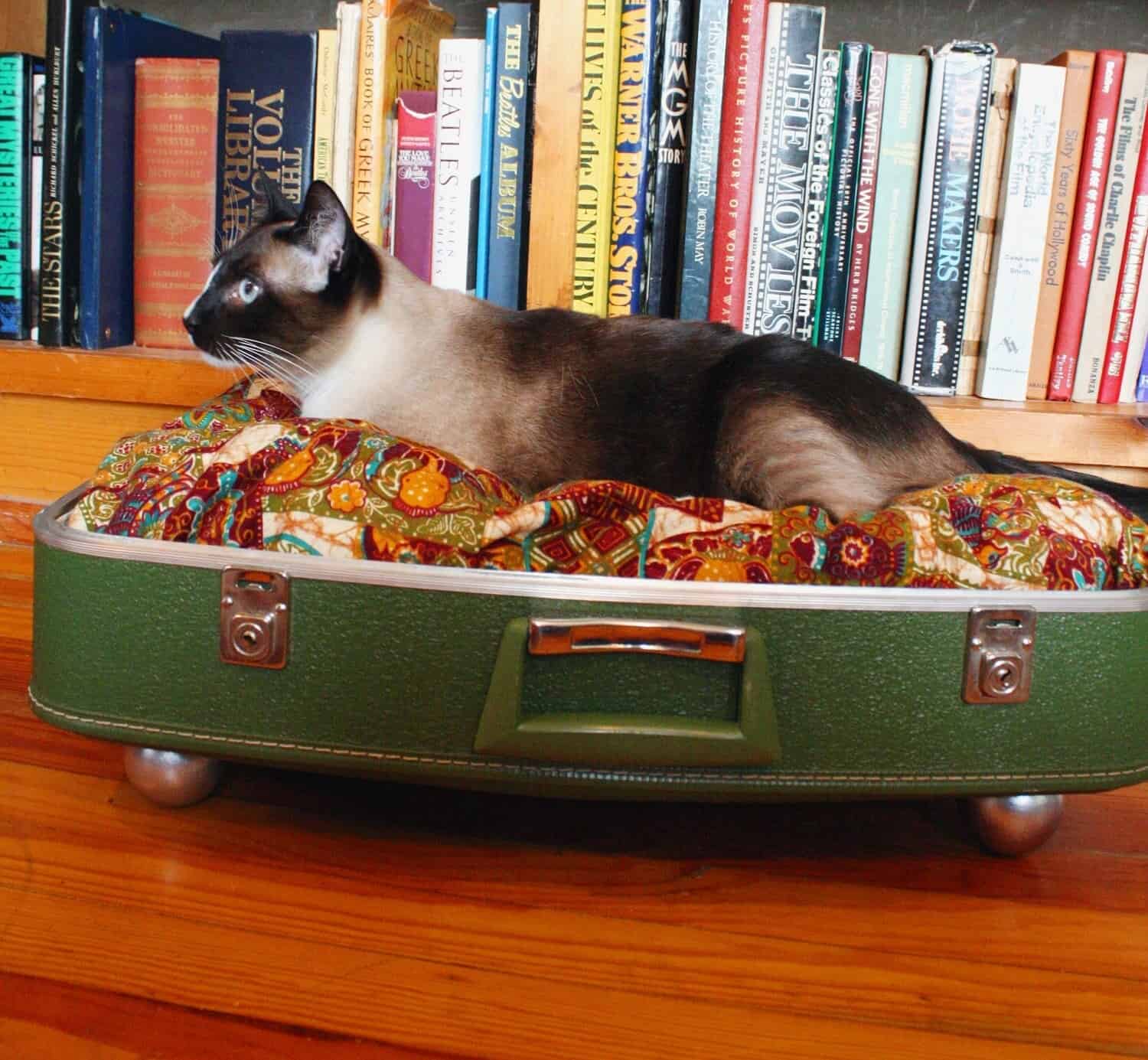Diy Cat Bed Of A Vintage Suitcase