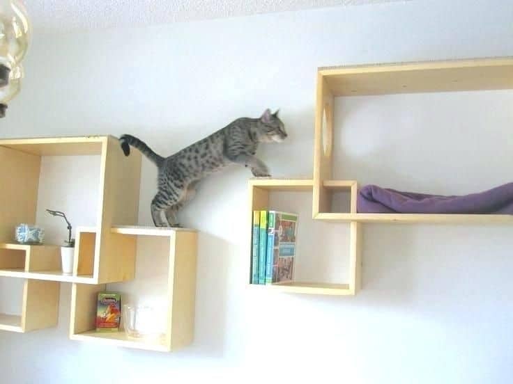 Diy Cat Hammock Wall Shelf