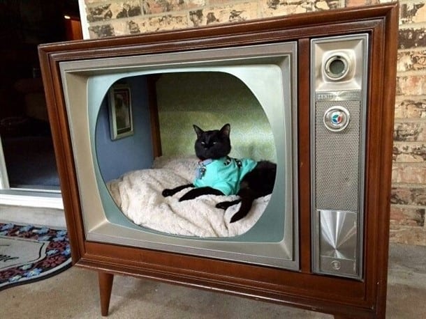 Diy Cat House Using An Old Tv Tray