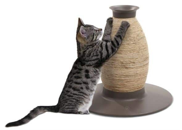 Diy Cat Scratching Post Vase