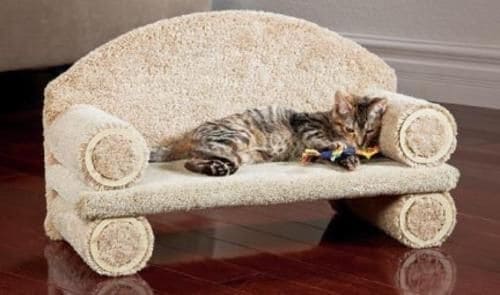 Diy Cat Sofa