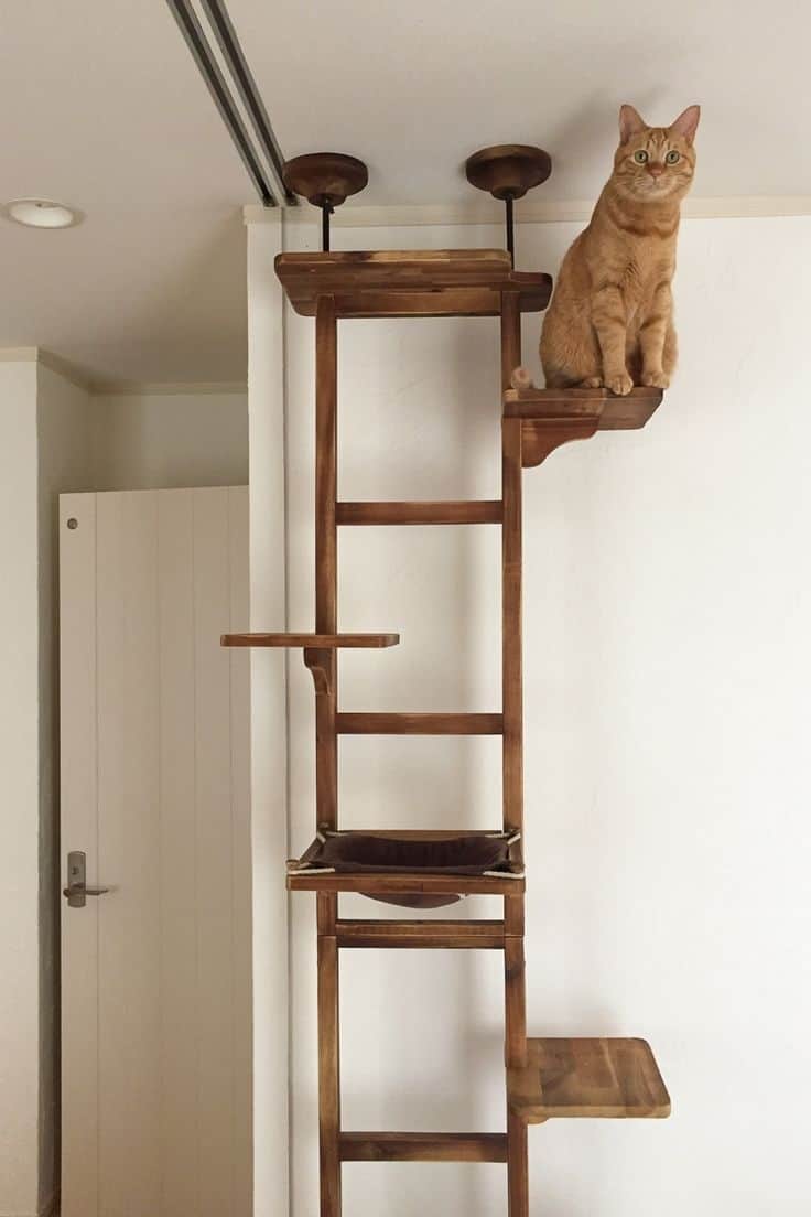 Diy Cat Tower Plan