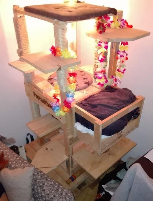 DIY Cat Tree Idea Made From Plywood