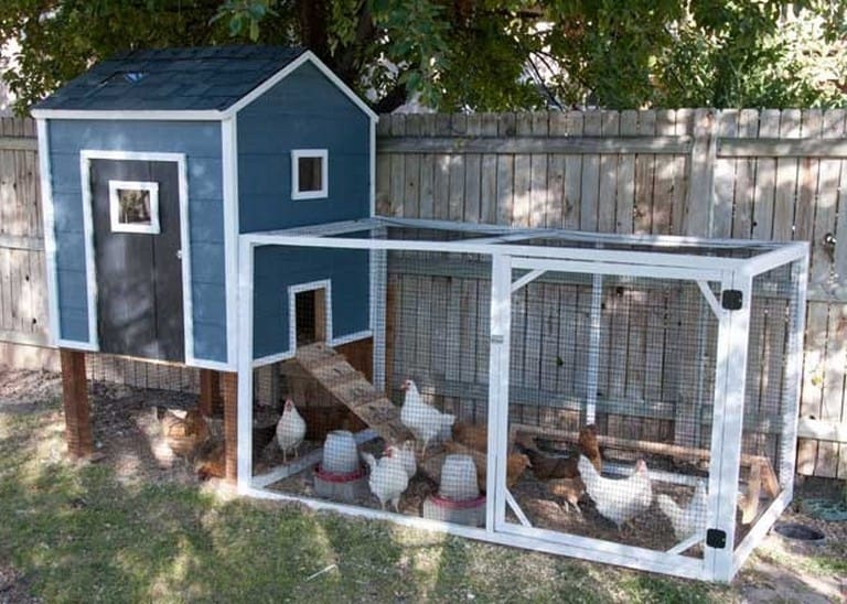 Diy Chicken Cages