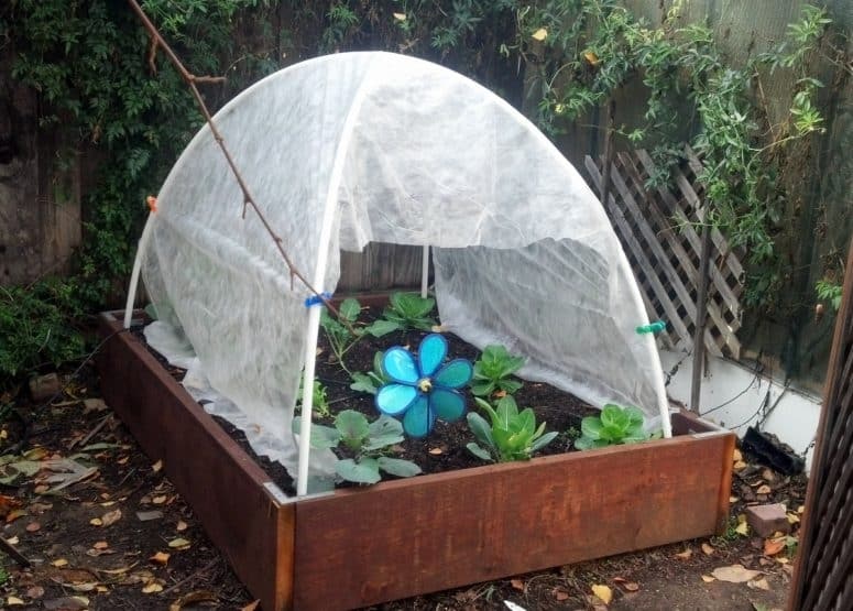 Diy Easy Mini Greenhouse Plans
