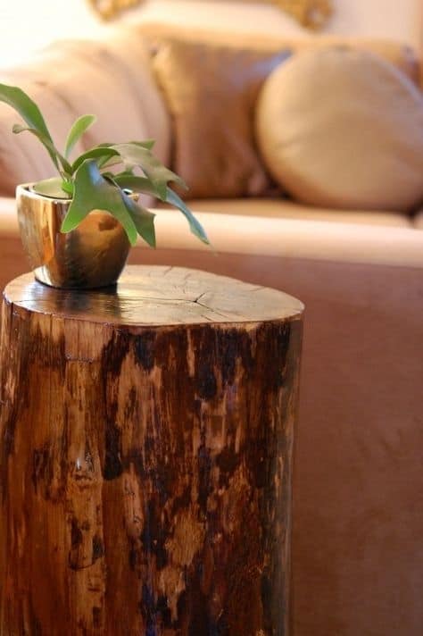 Diy End Table Made From Tree Stump