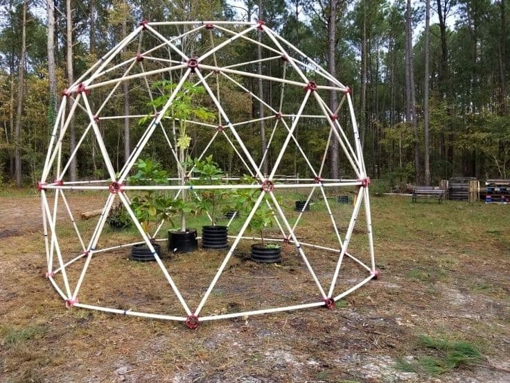 Diy Geodesic Dome Mini Greenhouse
