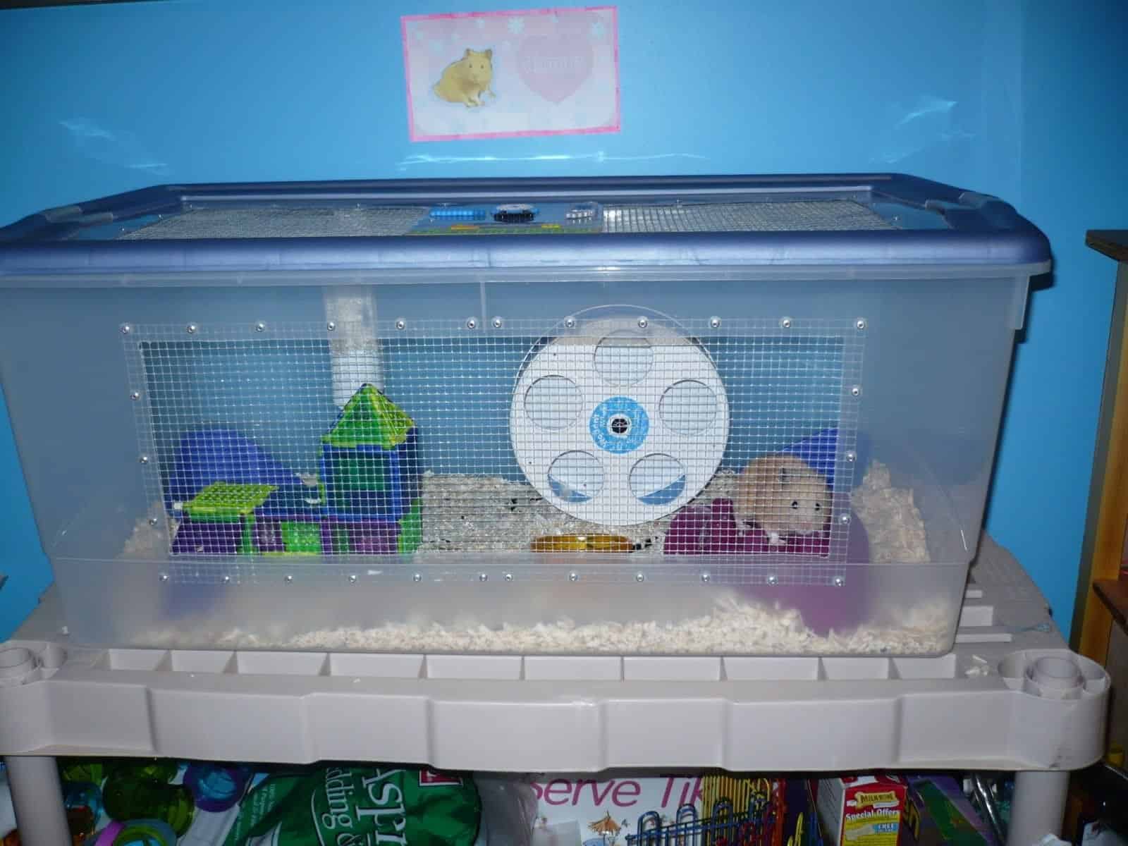 DIY Hamster Cages 