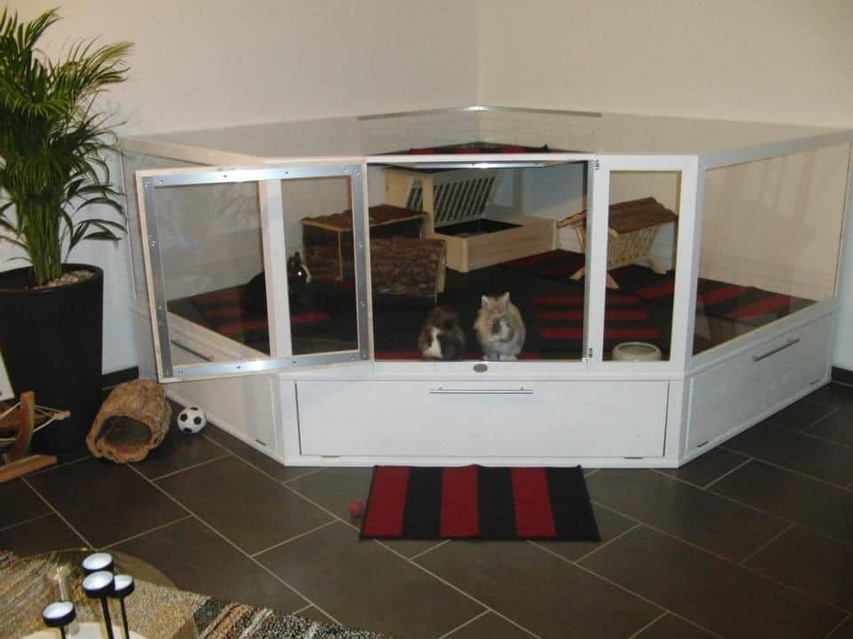 Diy Indoor Rabbit Hutch Plans