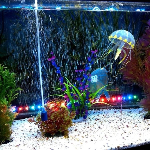 Diy Jellyfish Tank With Plants